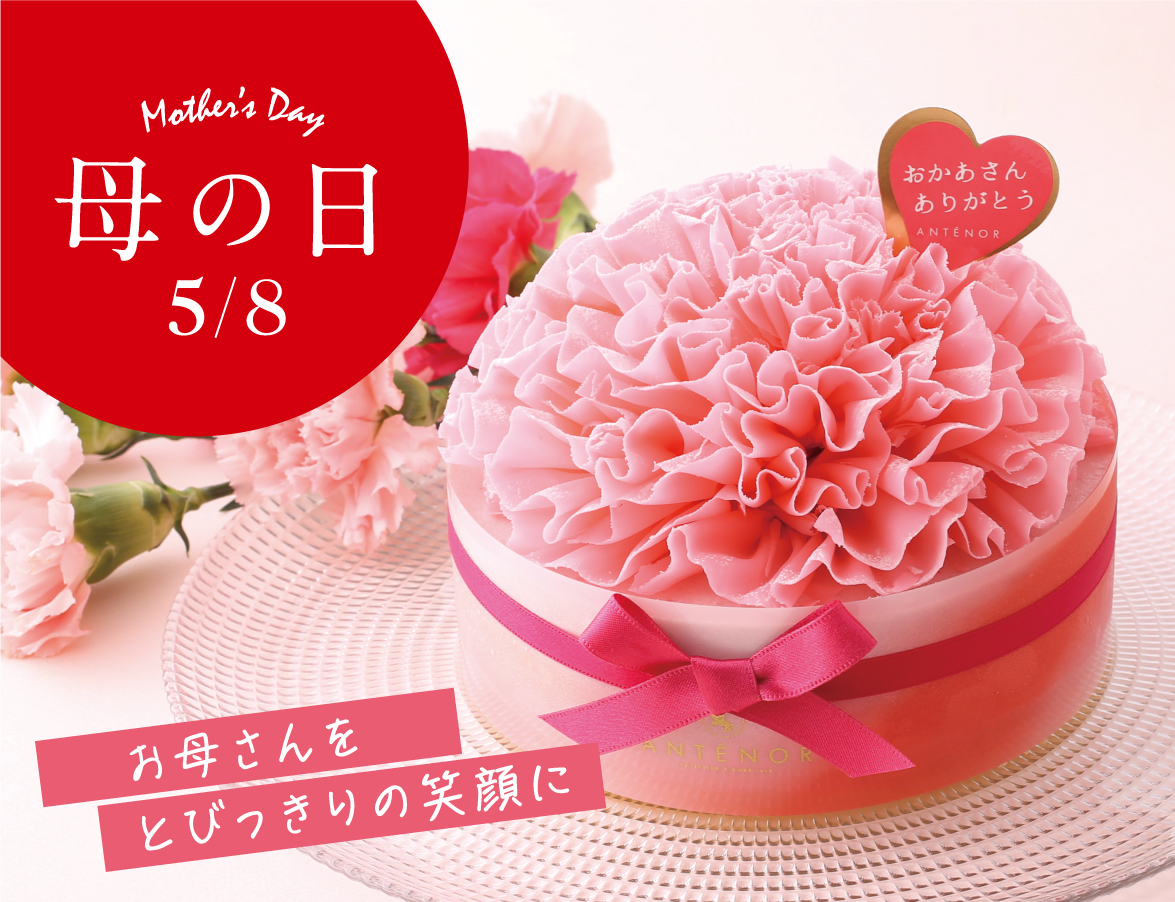 MOTHER'S DAY 5.13 母の日に贈るケーキ カーネーション